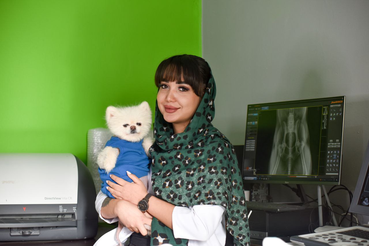 Doctor Image